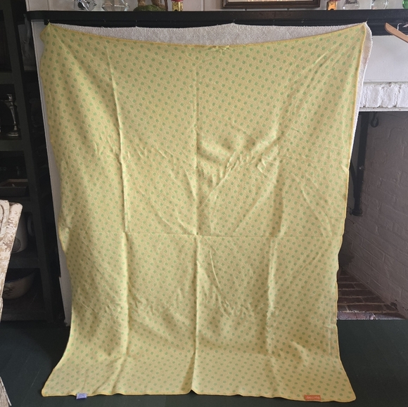 Pine Cone Hill Green and Yellow Polkadot Blanket - Picture 6 of 6